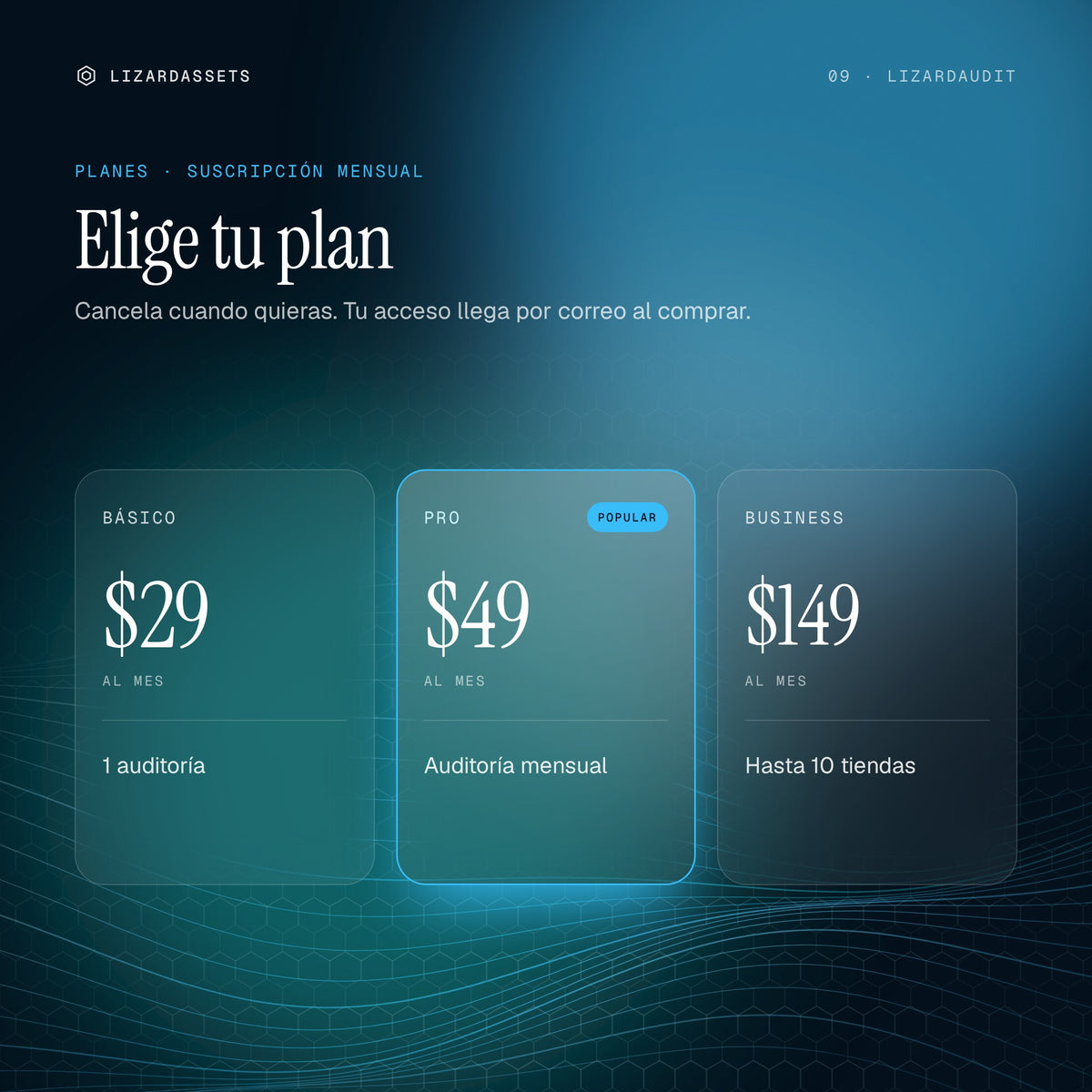 Planes de LizardAudit: Básico $29 al mes, Pro $49 al mes, Business $149 al mes.