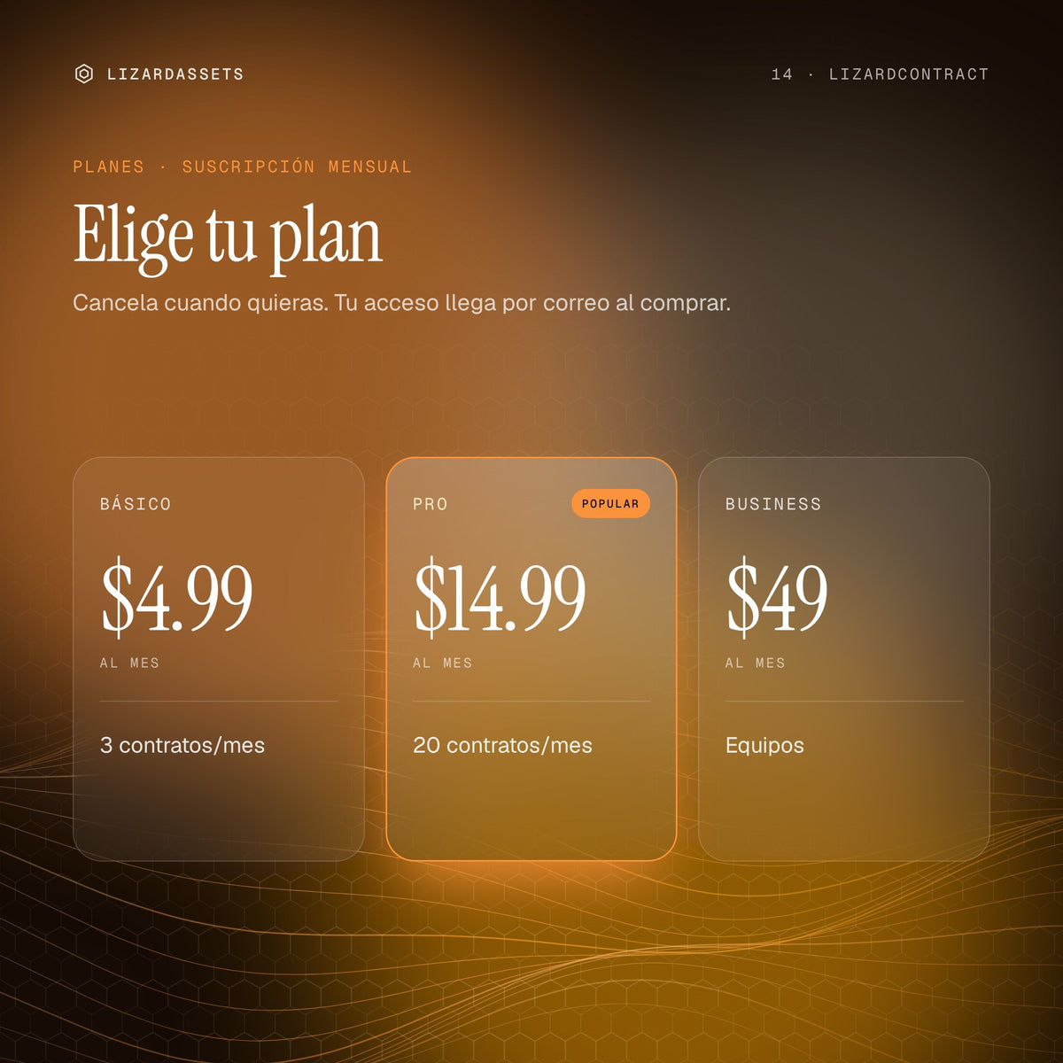 Planes de LizardContract: Básico $4.99 al mes, Pro $14.99 al mes, Business $49 al mes.