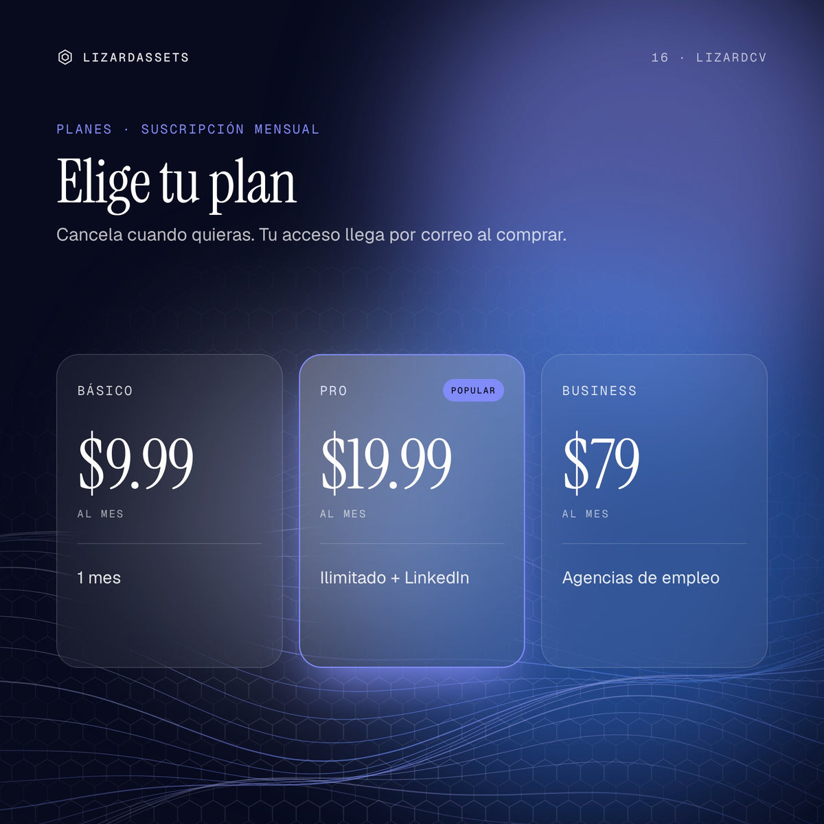 Planes de LizardCV: Básico $9.99 al mes, Pro $19.99 al mes, Business $79 al mes.