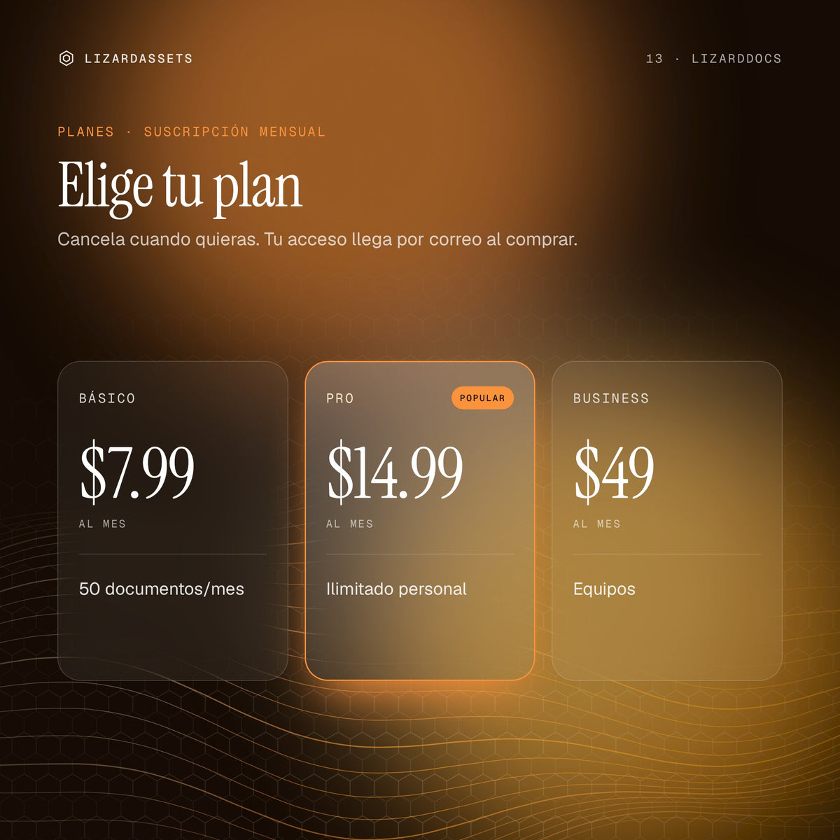 Planes de LizardDocs: Básico $7.99 al mes, Pro $14.99 al mes, Business $49 al mes.