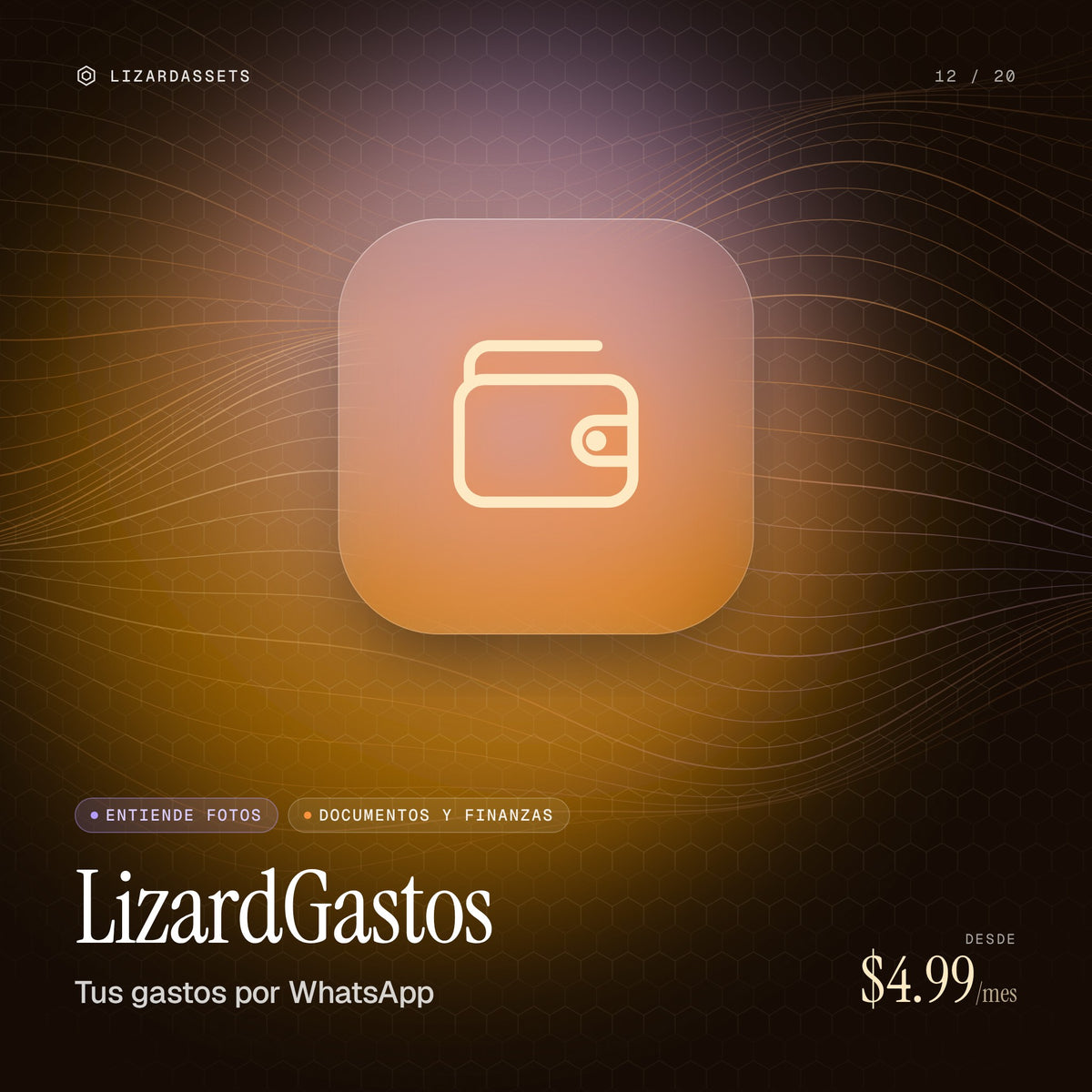 LizardGastos: Tus gastos por WhatsApp. Ilustración de portada.