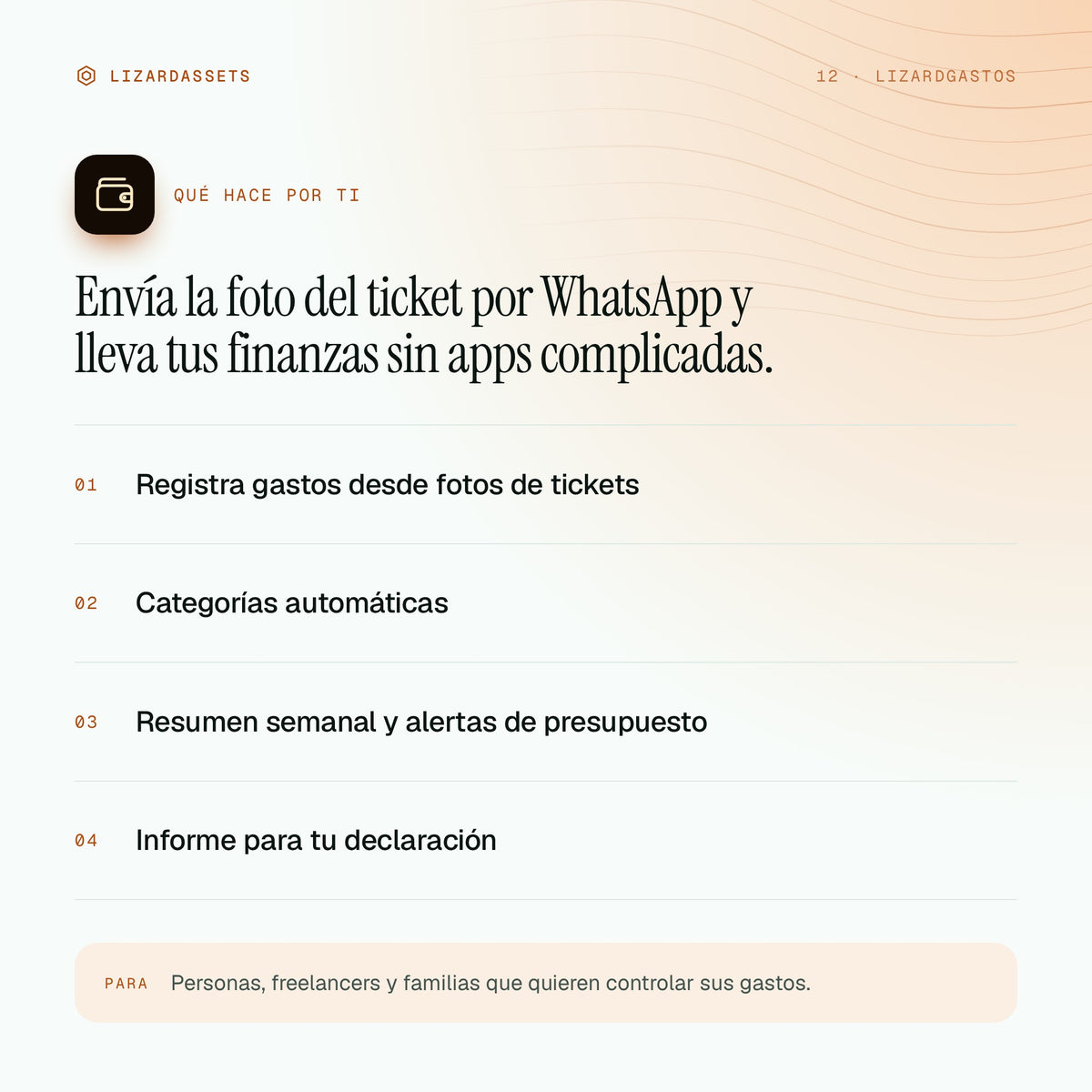 LizardGastos: qué hace y para quién es. Registra gastos desde fotos de tickets. Categorías automáticas. Resumen semanal y alertas de presupuesto. Informe para tu declaración.