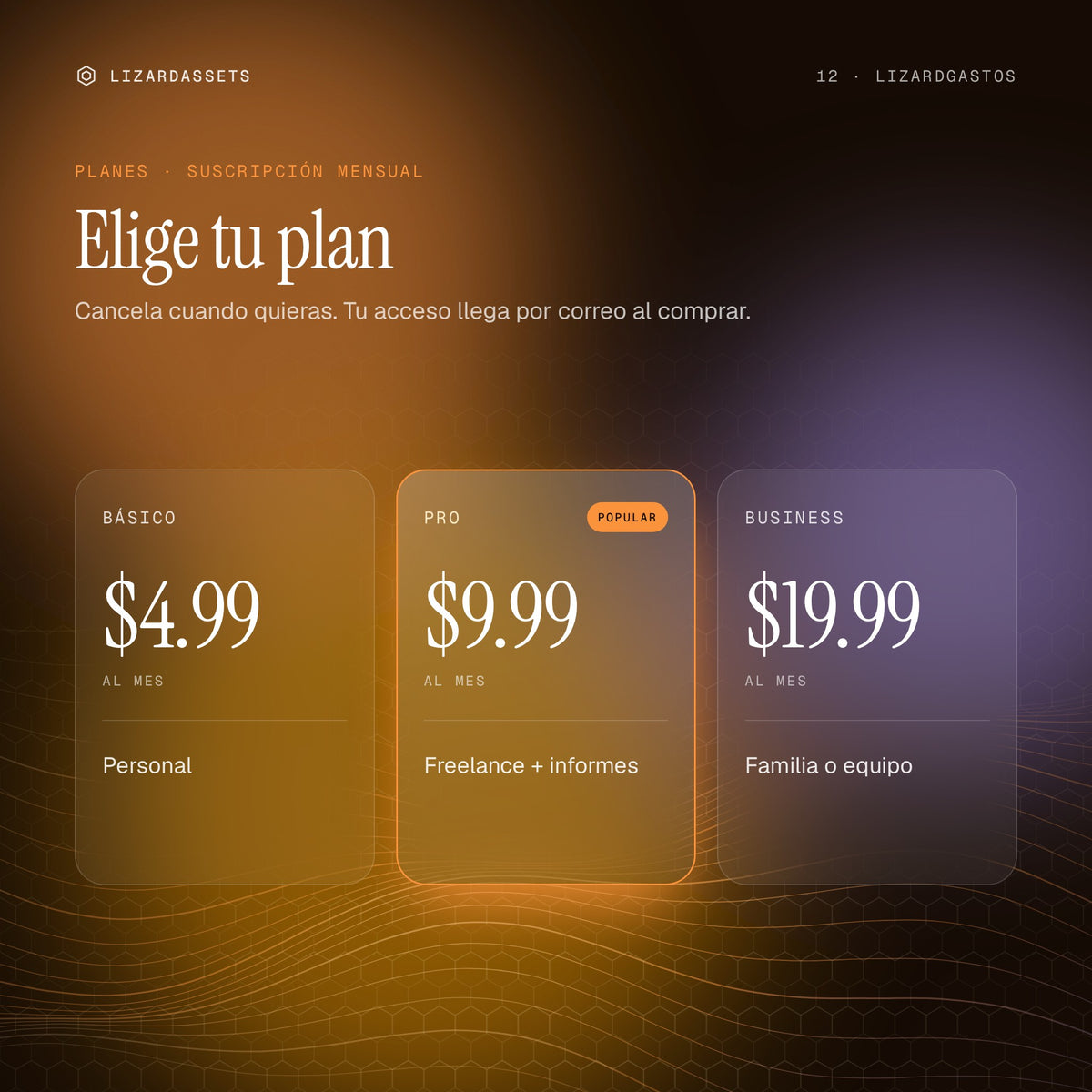 Planes de LizardGastos: Básico $4.99 al mes, Pro $9.99 al mes, Business $19.99 al mes.