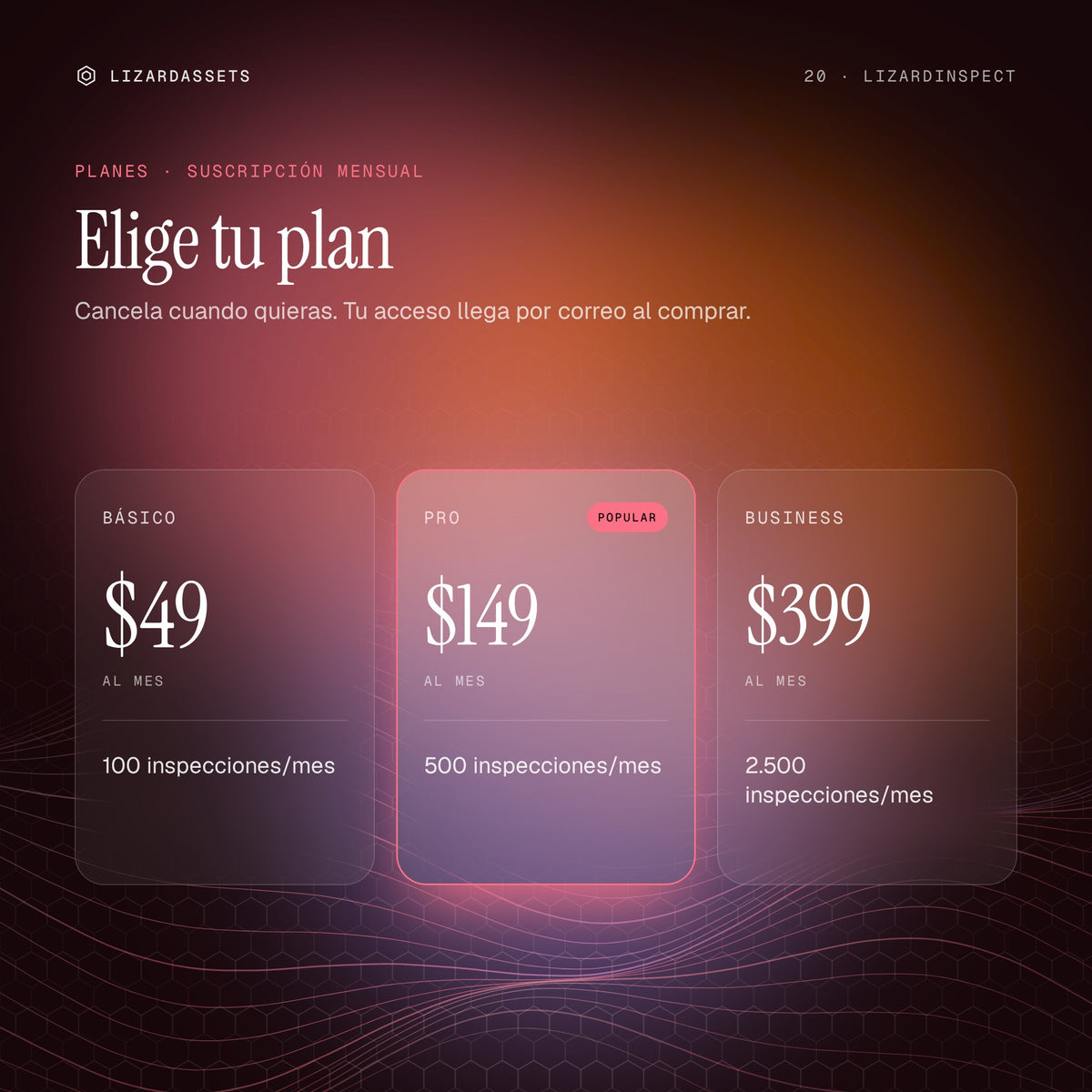 Planes de LizardInspect: Básico $49 al mes, Pro $149 al mes, Business $399 al mes.