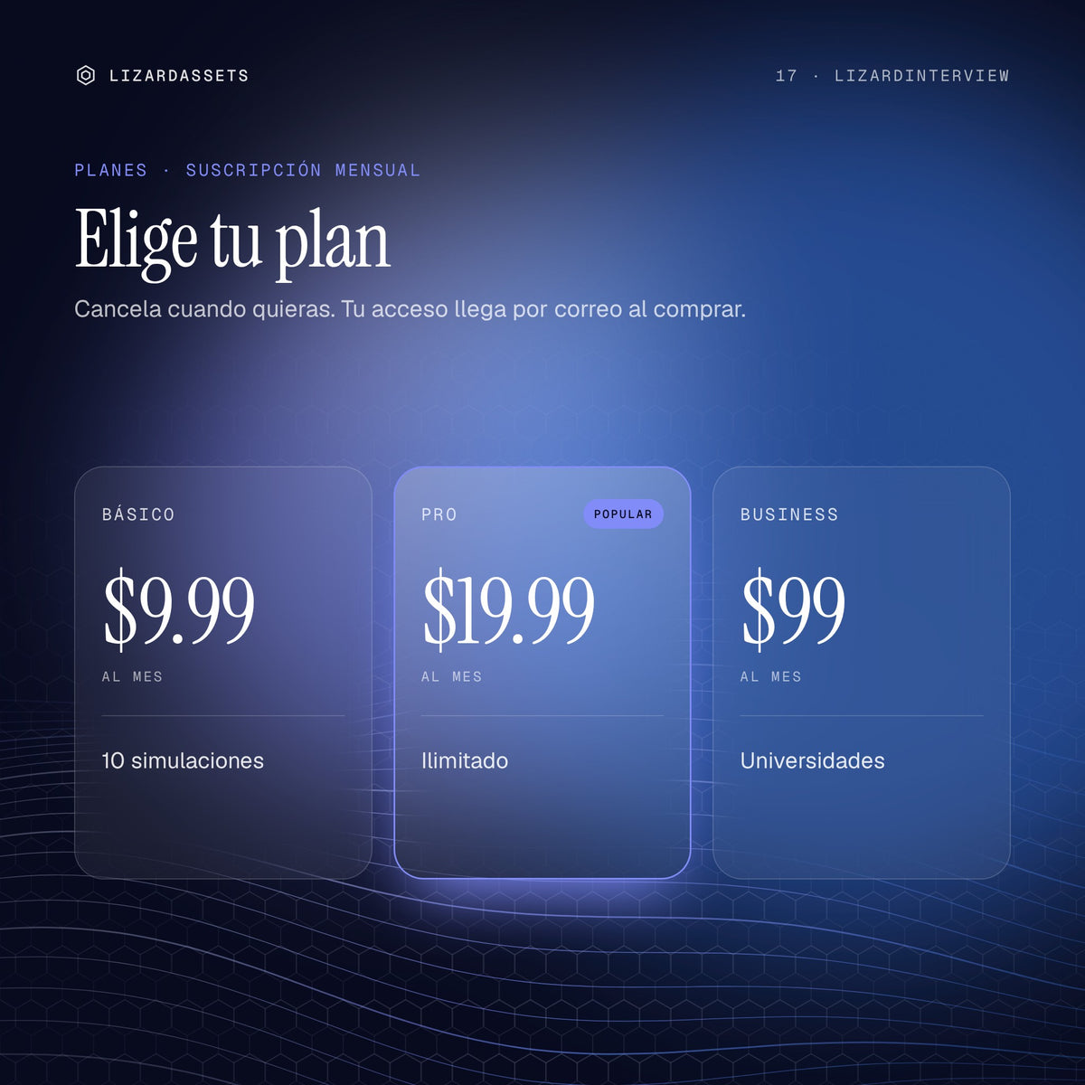 Planes de LizardInterview: Básico $9.99 al mes, Pro $19.99 al mes, Business $99 al mes.