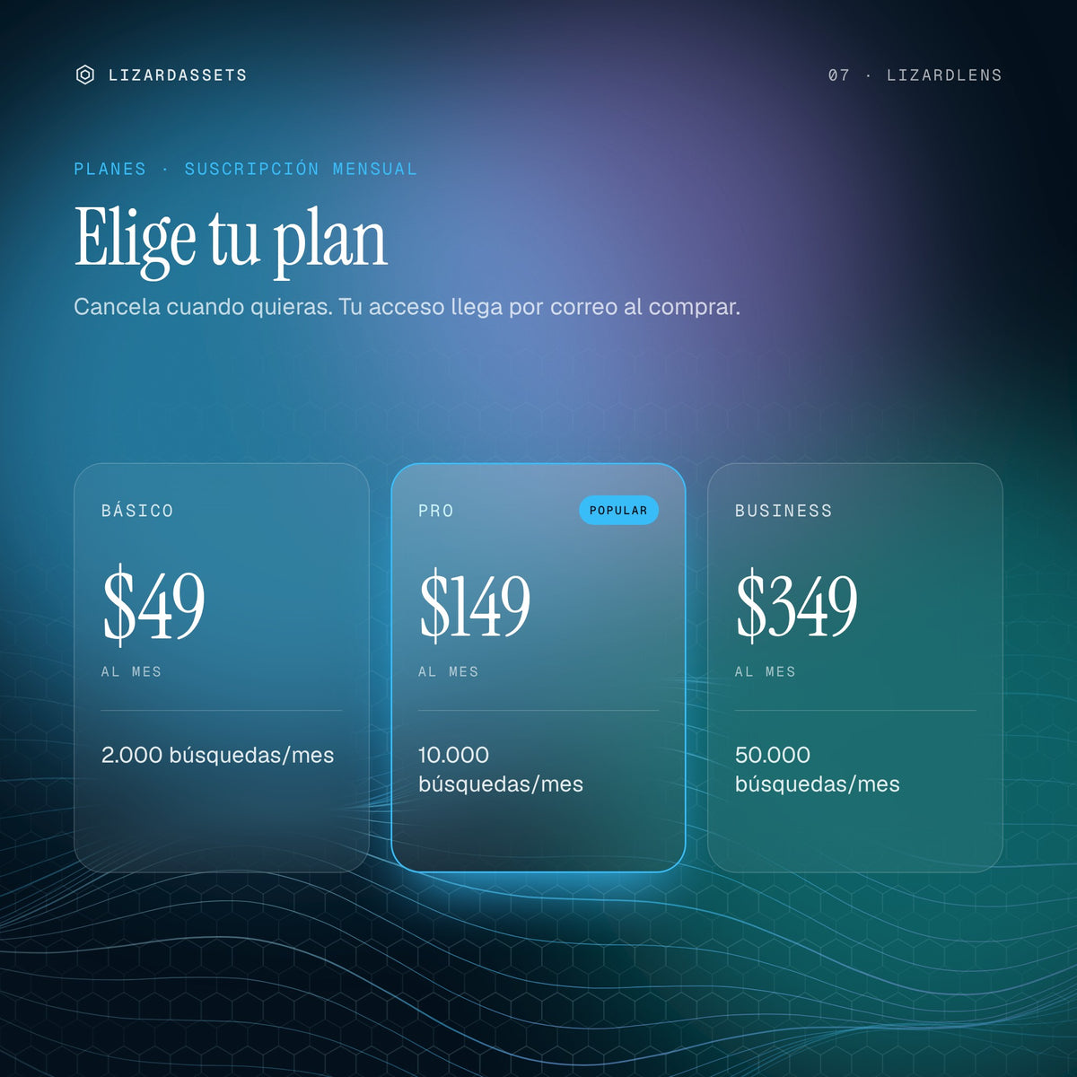 Planes de LizardLens: Básico $49 al mes, Pro $149 al mes, Business $349 al mes.