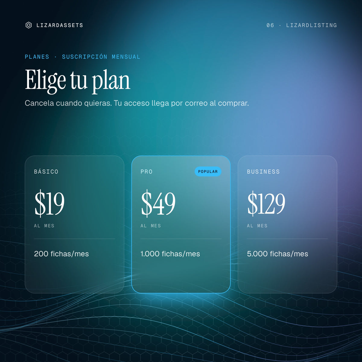 Planes de LizardListing: Básico $19 al mes, Pro $49 al mes, Business $129 al mes.