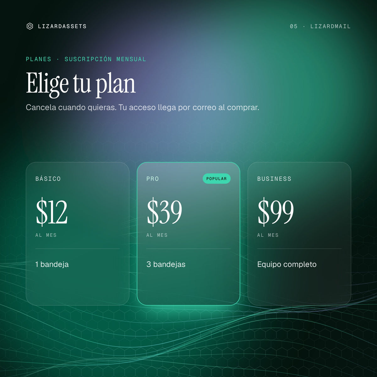 Planes de LizardMail: Básico $12 al mes, Pro $39 al mes, Business $99 al mes.