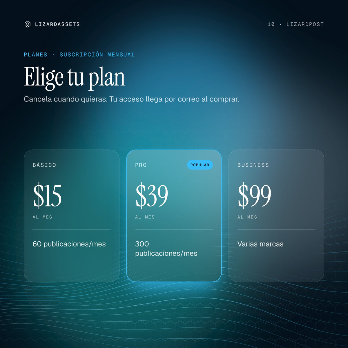 Planes de LizardPost: Básico $15 al mes, Pro $39 al mes, Business $99 al mes.