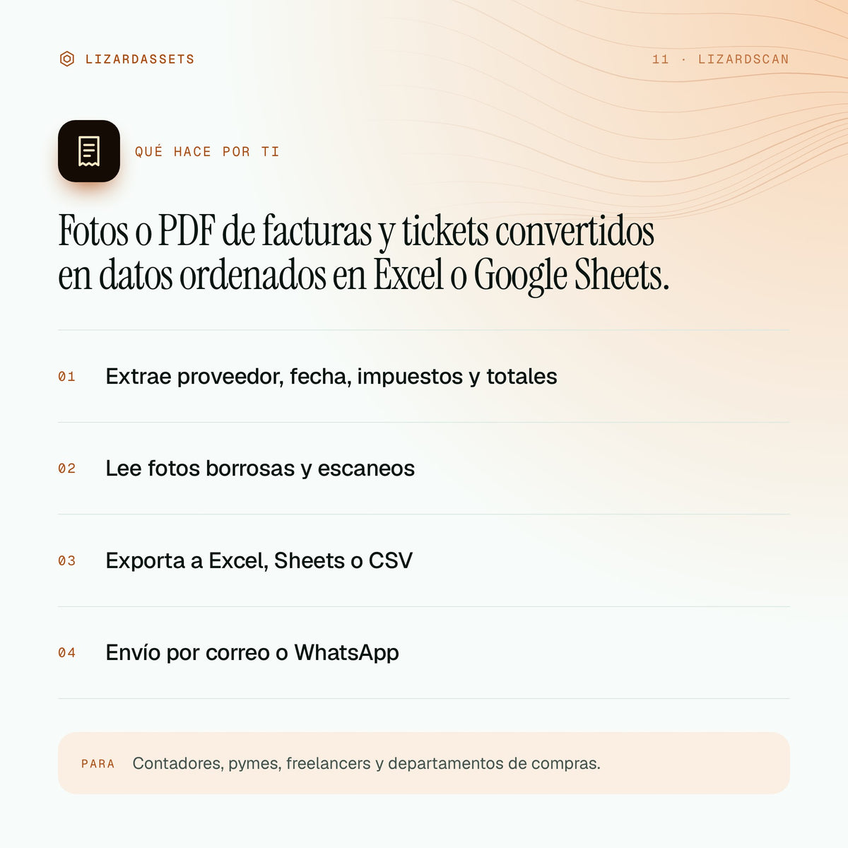 LizardScan: qué hace y para quién es. Extrae proveedor, fecha, impuestos y totales. Lee fotos borrosas y escaneos. Exporta a Excel, Sheets o CSV. Envío por correo o WhatsApp.