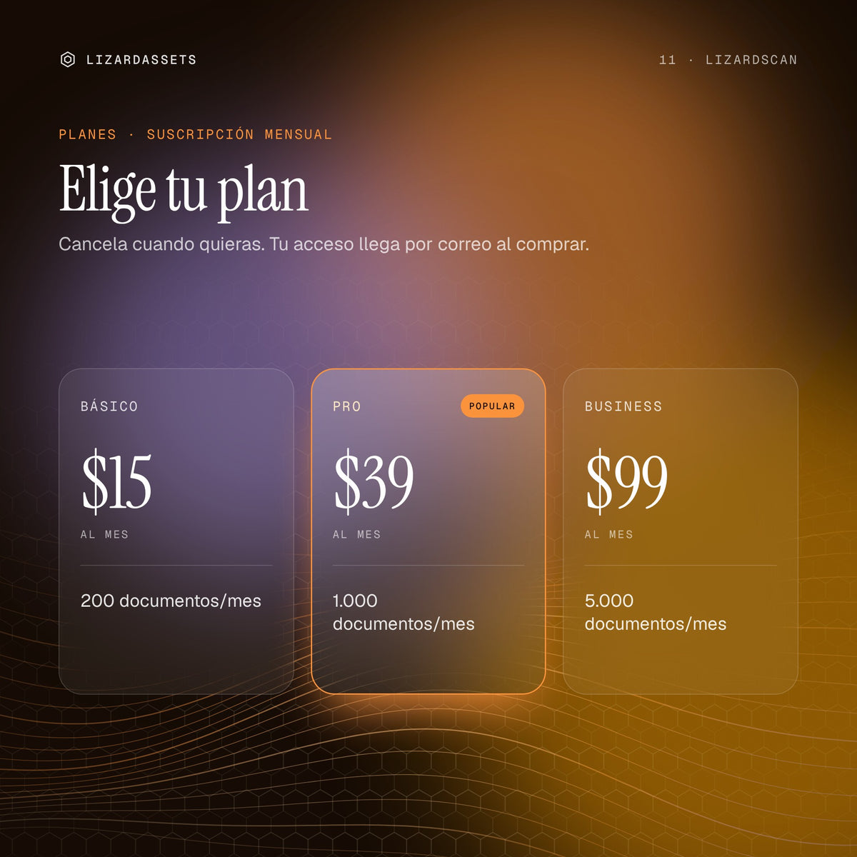 Planes de LizardScan: Básico $15 al mes, Pro $39 al mes, Business $99 al mes.