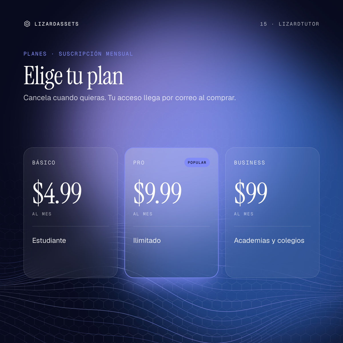 Planes de LizardTutor: Básico $4.99 al mes, Pro $9.99 al mes, Business $99 al mes.