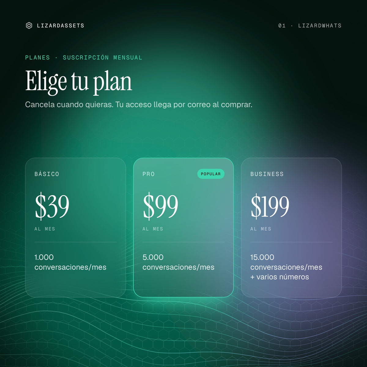 Planes de LizardWhats: Básico $39 al mes, Pro $99 al mes, Business $199 al mes.
